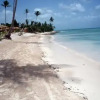 Отель 2BR Beach Apt @CadaquesCaribe Bayahibe, фото 17