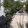 Отель Elite Guest House, фото 1