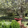 Отель Kalm Guest House, фото 8