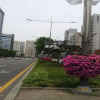 Отель Queenville Guesthouse COEX Female Only Gangnam, фото 6