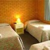 Отель Citrus Motel, фото 5