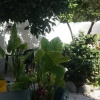 Отель Zagara Bed & Breakfast, фото 2