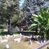 Отель Guest House Konak kod Danke, фото 6