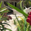 Отель Ik Hotel Residence Solo Adultos, фото 6