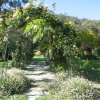 Отель Jilba Cottage, фото 8