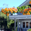 Отель Stop And Go Flower Villa, фото 1