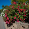 Отель Llanerchymedd, фото 5