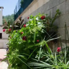 Отель Villa Donata, фото 1