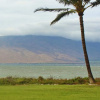 Отель Kapulanikai Vacation Suites, фото 15