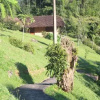 Отель Pousada Pedra Riscada, фото 4