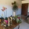Отель Pousada das Orquídeas, фото 10