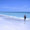 Отель The Anna Maria Island Beach Sands 101 - 2 Br condo by RedAwning, фото 19