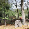Отель Monte Regina, фото 1