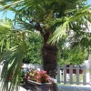 Отель Guest House Rejjan, фото 4