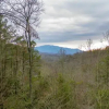 Отель Mountain Rose Gatlinburg - 2 Br Cabin, фото 6