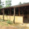 Отель Sinharaja Eco lodge, фото 4