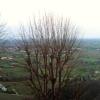Отель Laresidenzanelborgo, фото 11