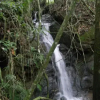 Отель Chalés Serrinha do Papagaio, фото 6