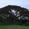 Отель Hacienda El Saman, фото 4