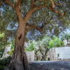 Отель Cava Degli Ulivi, фото 4