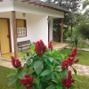 Отель Pousada da Serrinha, фото 6