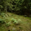 Отель The Morrum River Bed and Breakfast, фото 12