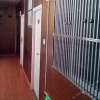 Отель Mianyang Yongxin Business Inn, фото 8