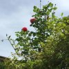 Отель B&B La Dolce Sosta, фото 10