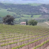 Отель Villa Oliveto, фото 3
