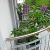 Отель Villa Rosa Whg. 04 mit Balkon, фото 8