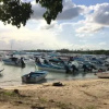 Отель Bayahibe Hotel El Pulpo, фото 11