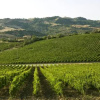Отель Poderi Firenze, фото 9