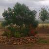 Отель Santa Catalina, фото 2
