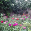 Отель Anestoula Rooms, фото 3