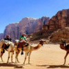 Отель Wadi Rum Moon Light Camp, фото 20