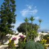 Отель Casa Ballena A, фото 7