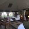 Отель Elephant Bedroom Camp - Samburu, фото 2