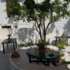 Отель Zagara Bed & Breakfast, фото 4