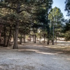 Отель Ruidoso - 100 Hull Rd. #2, фото 1