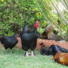 Отель Quinta Beira-Mar, фото 5