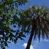 Отель Yataí Casas, фото 6