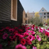 Отель Bohong Hotel, фото 1