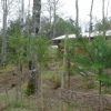 Отель Eco-Cabañas Quetroleufu, фото 12