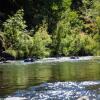 Отель Russian River Camping Resort Cottage 9, фото 8