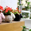 Отель Earth Village B&B, фото 1