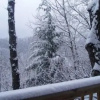 Отель Mountain Treasure Gatlinburg - 2 Br Cabin, фото 4