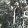 Отель Albergue de Montaña Talari, фото 6