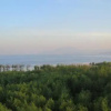 Отель Dali Twilight Inn, фото 3