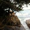 Отель La Casita Nazare, фото 5
