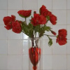 Отель Waterland Achterhuis, фото 2